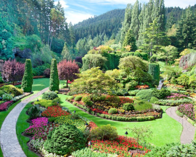 Sunken Garden at Butchart Gardens, Central Saanich, British Colu A view of the sunken garden at Butchart Gardens, Central Saanich, Vancouver Island, British Columbia, Canada